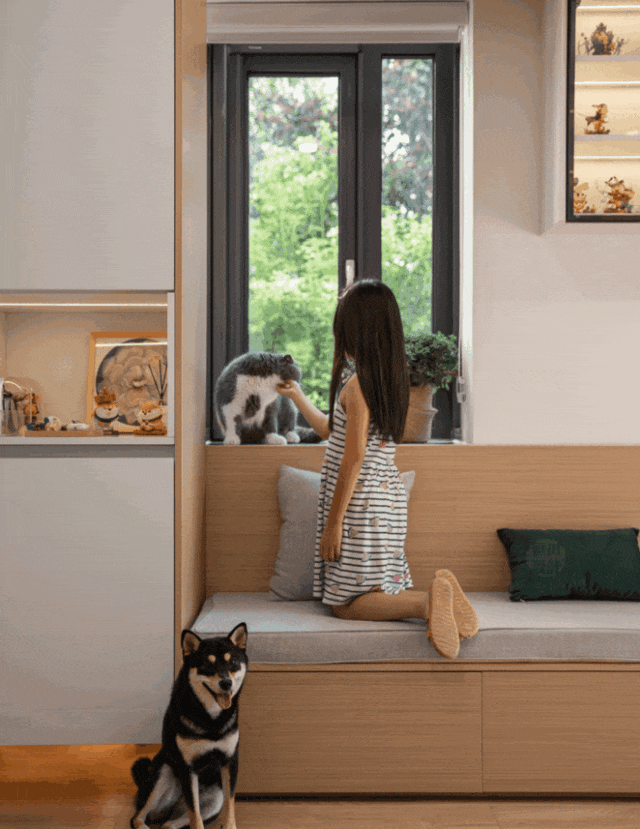 1.gif